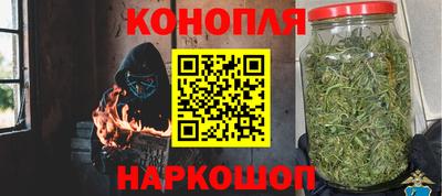 сатива Камышлов