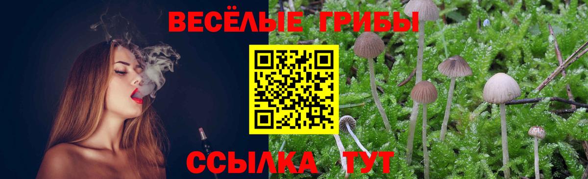 Кыштым  Галлюциногенные грибы прущие грибы  Вход с VPN 